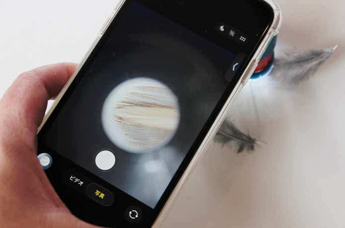 スマホで撮影している様子
