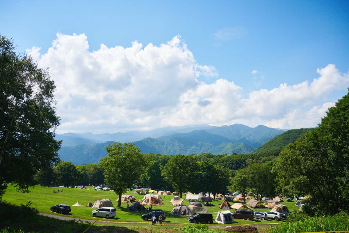 New Acoustic Camp（ニュー・アコースティック・キャンプ）