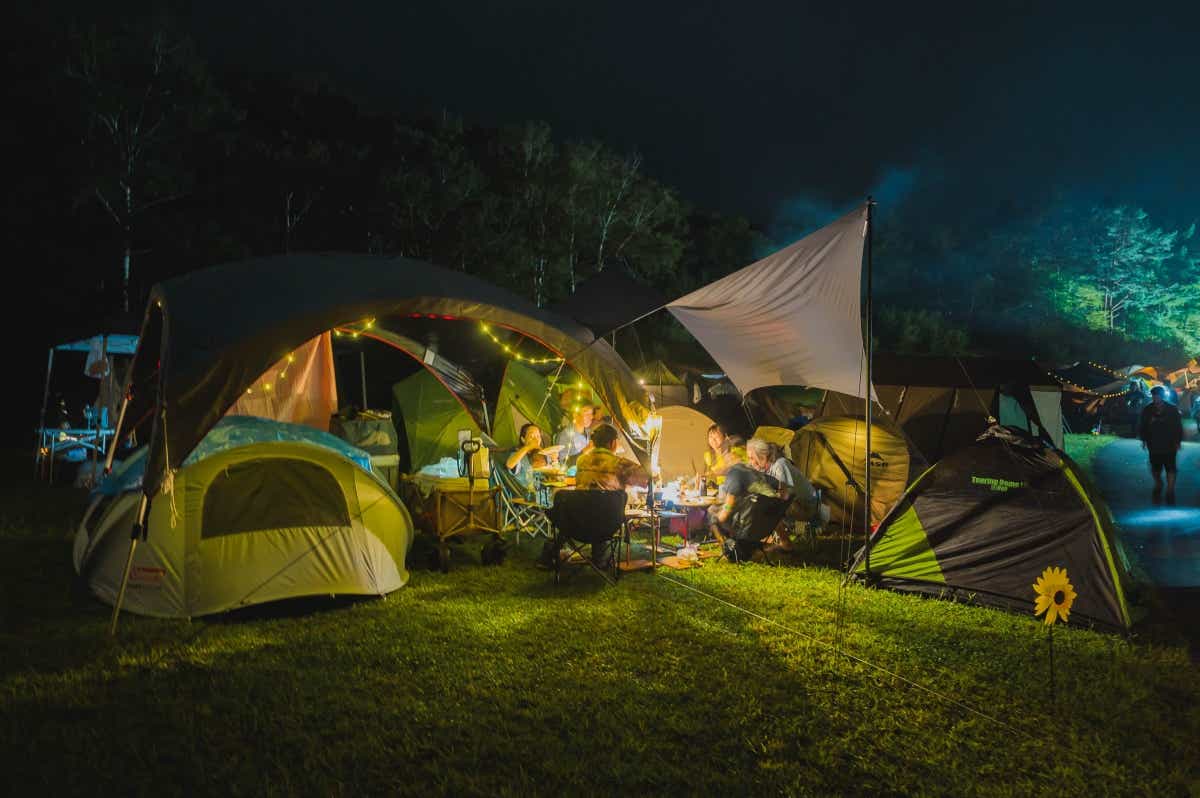 New Acoustic Camp（ニュー・アコースティック・キャンプ）