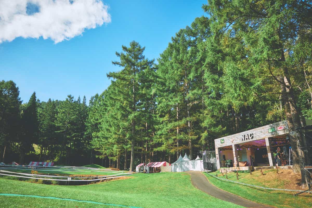 New Acoustic Camp（ニュー・アコースティック・キャンプ）