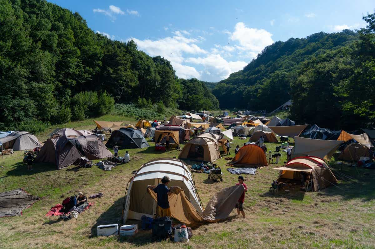 New Acoustic Camp（ニュー・アコースティック・キャンプ）