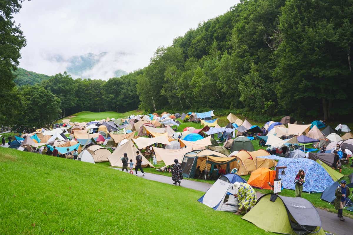 New Acoustic Camp（ニュー・アコースティック・キャンプ）