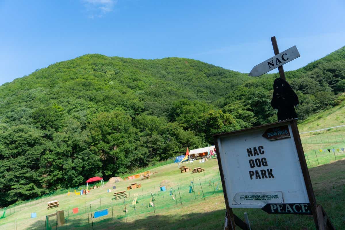 New Acoustic Camp（ニュー・アコースティック・キャンプ）