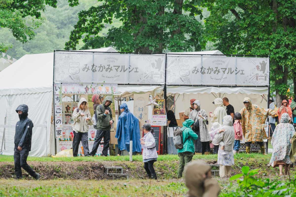 New Acoustic Camp（ニュー・アコースティック・キャンプ）