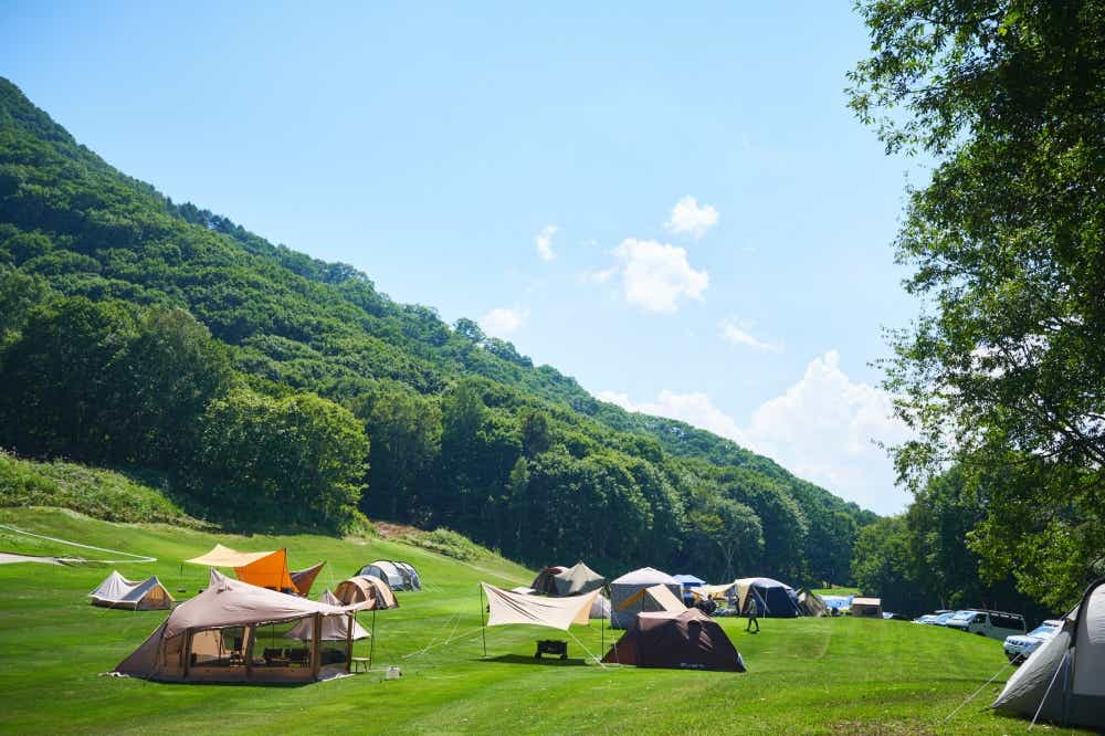 New Acoustic Camp（ニュー・アコースティック・キャンプ）
