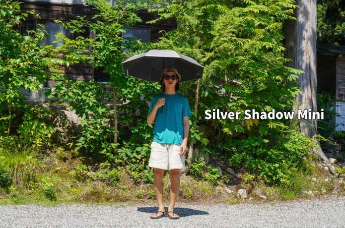 Silver Shadow Mini