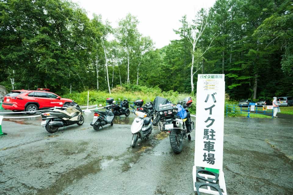 New Acoustic Camp 2026（ニューアコ）の日帰りプラン