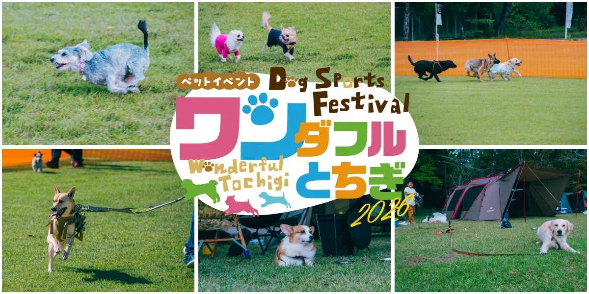 「いがしらリゾートアウトドア秋フェス2026」