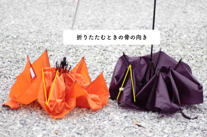 骨の向きの違い